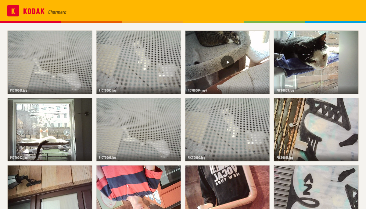 Charmera gallery — real photos shot on Kodak Charmera